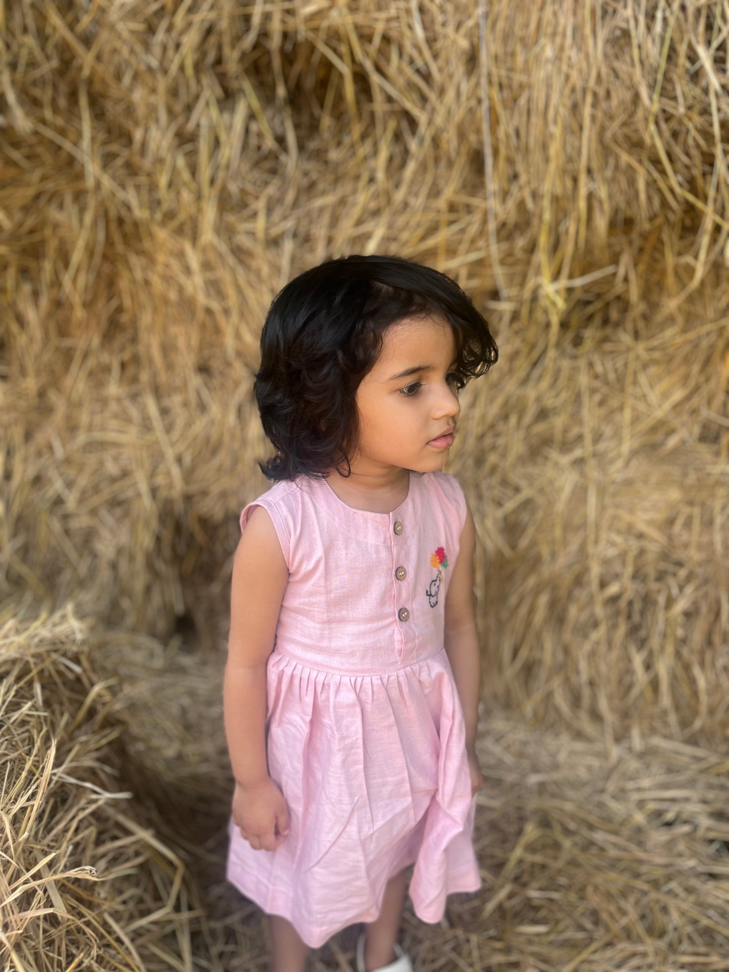 Embroidery dress for girls- Elephant