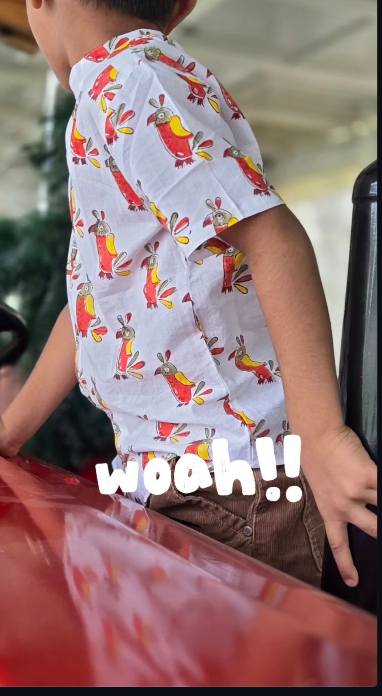 Kids Hand Block Printed Shirt - Bird